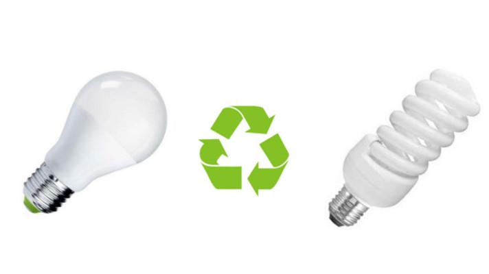 Všechny vysloužilé úsporné žárovky patří do sběrné nádoby, nikoli do odpadu