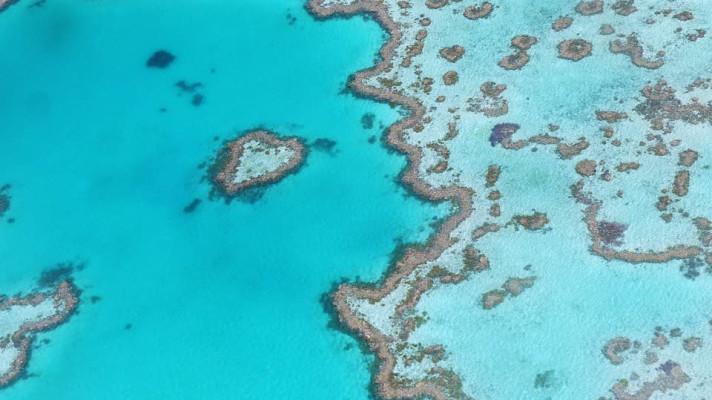 Australský Velký bariérový útes po letošním horkém létě vybledl