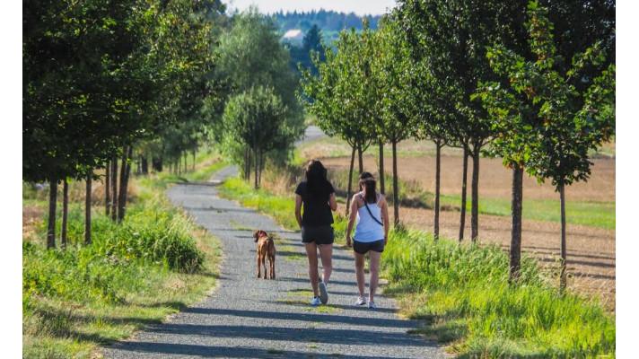 Přes 8 milionů korun na výsadbu zeleně - Nadace ČEZ letos schválila nejvyšší částku za posledních sedm let, vysadí se tisíce nových stromů   