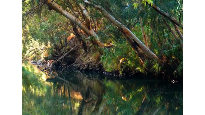 Řeka Jordán a poptávka po pitné vodě jako příležitost pro bilaterální spolupráci Řeka Jordán a poptávka po pitné vodě jako příležitost pro bilaterální spolupráci