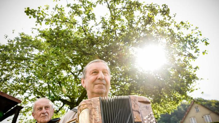 Lidé vybírají Strom roku České republiky. Díky hlasujícím vyrostou nové stromy Lidé vybírají Strom roku České republiky. Díky hlasujícím vyrostou nové stromy