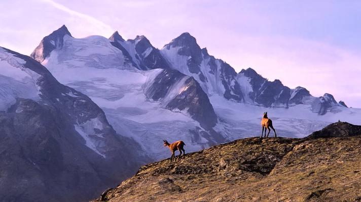 Tání ledovců v Alpách odhaluje tisíce let staré poklady
