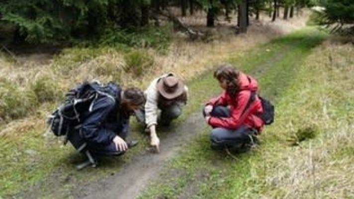 Stopovat vlky se budou učit noví dobrovolníci Vlčích hlídek v Lužických horách Stopovat vlky se budou učit noví dobrovolníci Vlčích hlídek v Lužických horách
