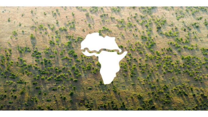 Ambiciózní ekologický projekt Velké zelené zdi v Africe stagnuje