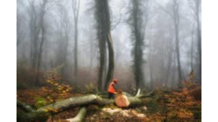 Innovative soundscape technology could enable automated, rapid, global monitoring of ecosystems Innovative soundscape technology could enable automated, rapid, global monitoring of ecosystems