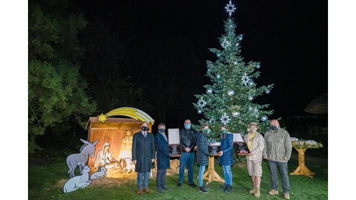 ZOO PRAHA ROZSVÍTILA VÁNOČNÍ STROM A ROZDALA RICHARDY ZOO PRAHA ROZSVÍTILA VÁNOČNÍ STROM A ROZDALA RICHARDY