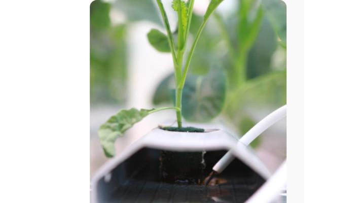 Gardenix spustil hydroponický skleník s technologií NFT