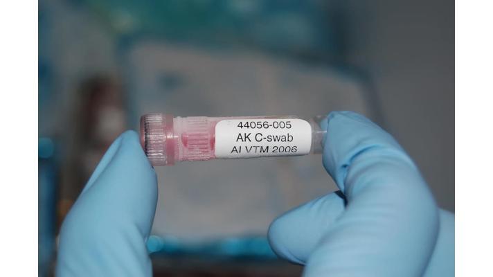 Ptačí chřipka v Česku decimovala chovy v letech 2007 a 2017 Ptačí chřipka v Česku decimovala chovy v letech 2007 a 2017