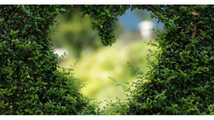 Výrobky s ekoznačkou v EU Výrobky s ekoznačkou v EU