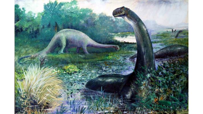 Vědci našli fosílii patrně největšího tvora, který kdy žil Vědci našli fosílii patrně největšího tvora, který kdy žil