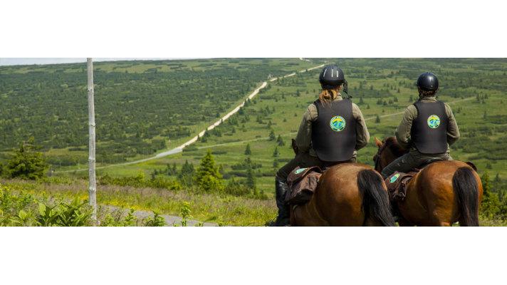 Sněmovní výbor v novele podpořil vyšší pravomoc stráže přírody Sněmovní výbor v novele podpořil vyšší pravomoc stráže přírody