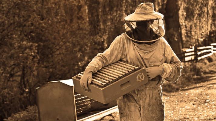 Včelařství - aktuálně platné právní předpisy