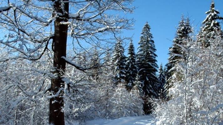 MŽP vydalo první číslo Věstníku v novém roce MŽP vydalo první číslo Věstníku v novém roce