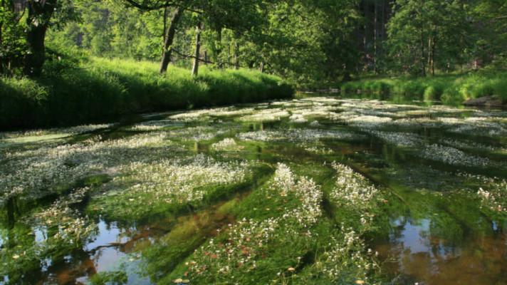 Projekt Jedna příroda má před sebou další perný rok Projekt Jedna příroda má před sebou další perný rok