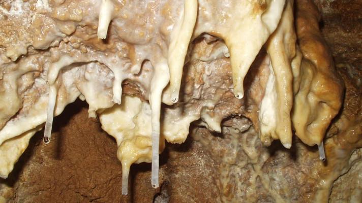 Jeskyňáři našli poblíž Macochy čtyři nové dómy, jsou plné krápníků