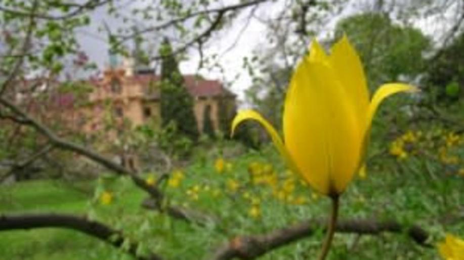 Průhonický park otevírá nové expozice, láká na jarní květiny i české pohádky