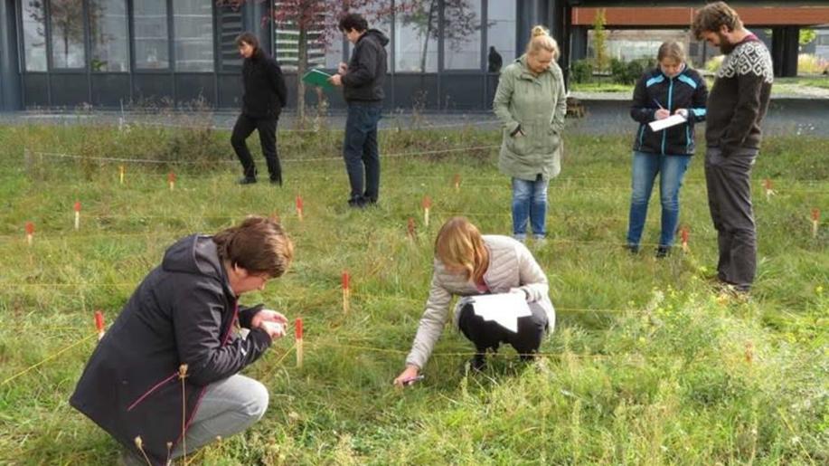Botanici prozkoumali flóru Brna, ve městě roste 1 492 planých druhů rostlin
