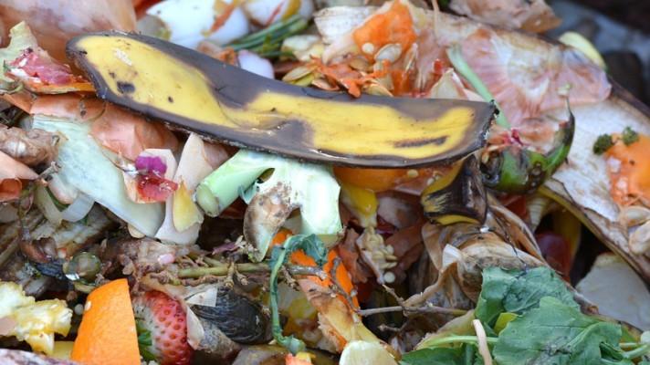 FRANCIE: Kompostování bioodpadu z firem namísto spalování