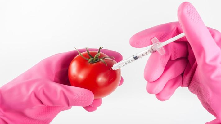 Odborníci: Geneticky upravené potraviny jsou možností, jak se vyhnout nedostatku