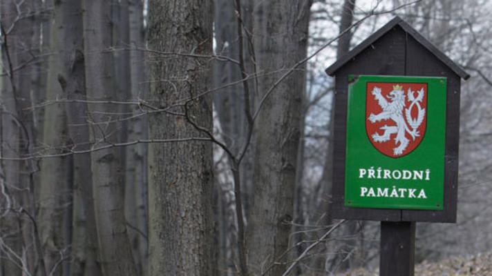 Vyhláška o vyhlášení Národní přírodní památky Mladá a stanovení jejích bližších ochranných podmínek Vyhláška o vyhlášení Národní přírodní památky Mladá a stanovení jejích bližších ochranných podmínek