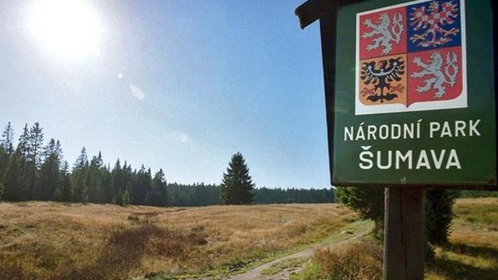 Letní sezóna v NP Šumava začíná - bude ve znamení pralesů