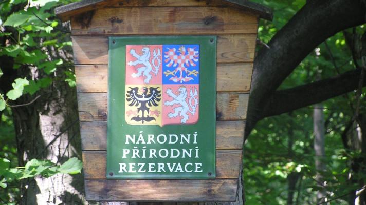 Krkonošský park kvůli borůvkářům omezí přístup do části hor 