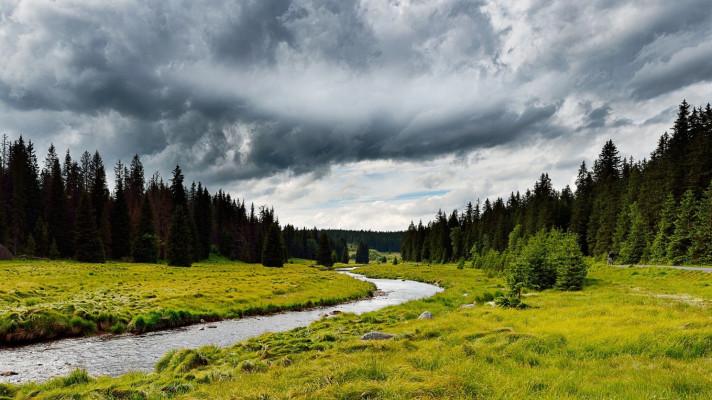 Program revitalizace Krušných hor na území soustavy Natura 2000 - doplňující podklady