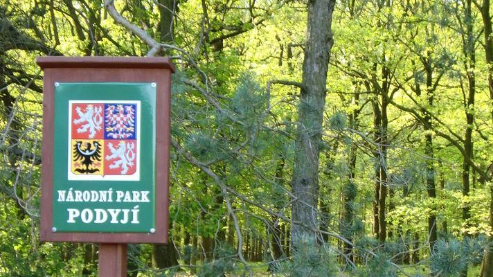 Socioekonomický monitoring dokládá: statut chráněného území a vybavení v Národním parku Bavorský les má velký podíl na spokojenosti návštěvníků