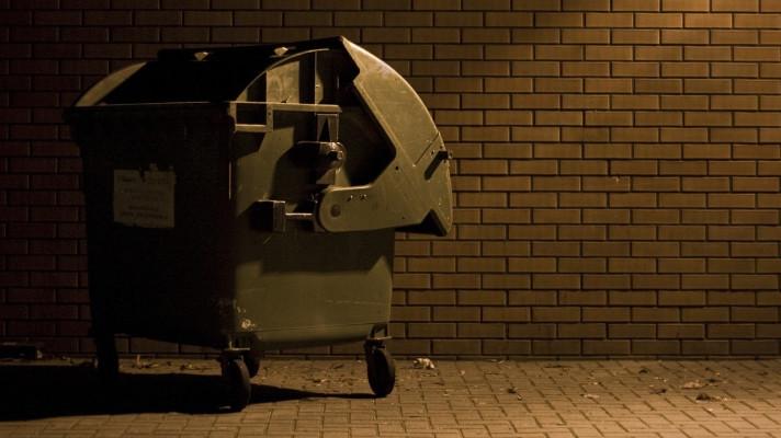 Odpadová data 2019: Každý Čech vyprodukoval 551 kilogramů komunálu