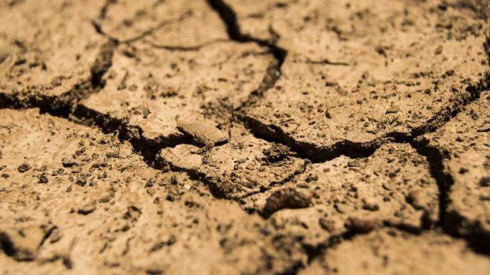Babiš: Rychlé změny v boji se suchem se nedají očekávat