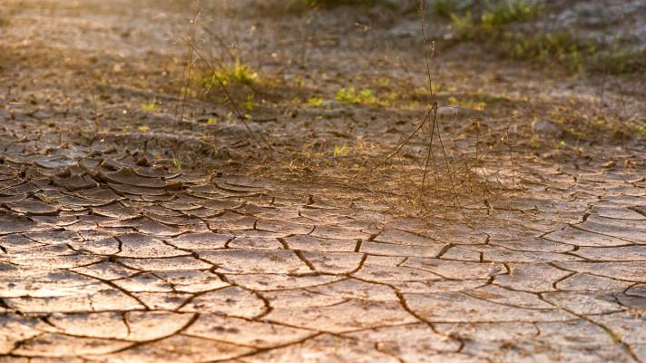 Na opatření proti suchu za rok 2023 se počítá s částkou 26,8 miliardy korun, z toho 20,4 miliardy od Ministerstva zemědělství 