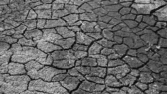 Státní pozemkový úřad se dlouhodobě zapojuje do boje se suchem