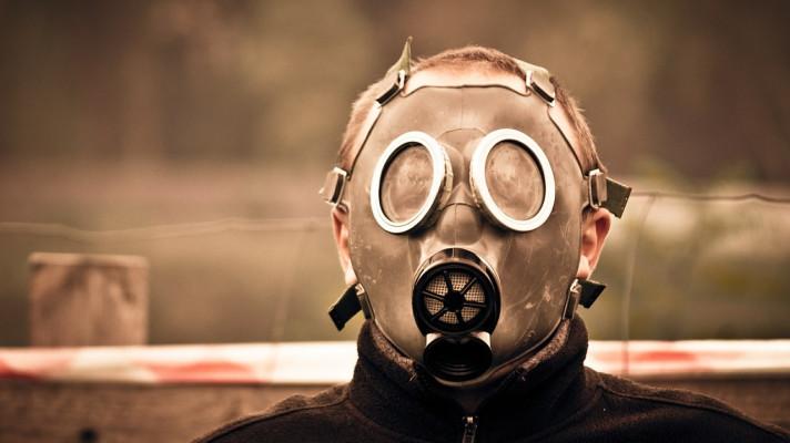 Čeští vědci mají patent pro přenosný test toxicity v ovzduší