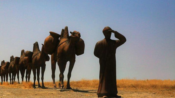 22. června - Světový den velbloudů 22. června - Světový den velbloudů