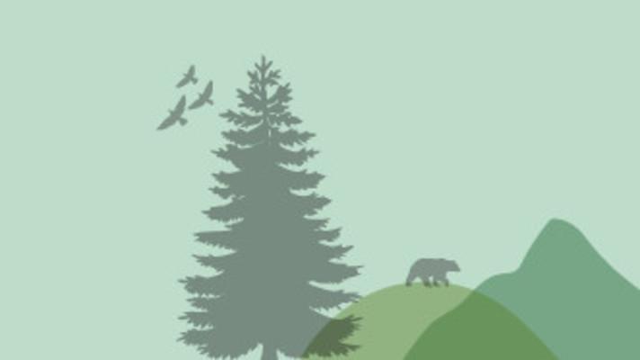 What has more holes than a Swiss cheese? The new EU Deforestation law What has more holes than a Swiss cheese? The new EU Deforestation law