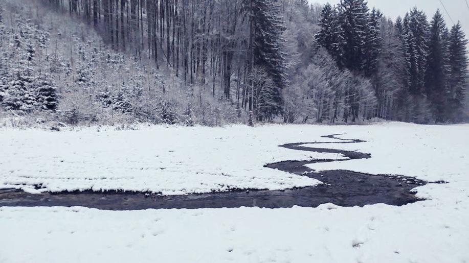 Ospitský potok zase přirozeně meandruje krajinou