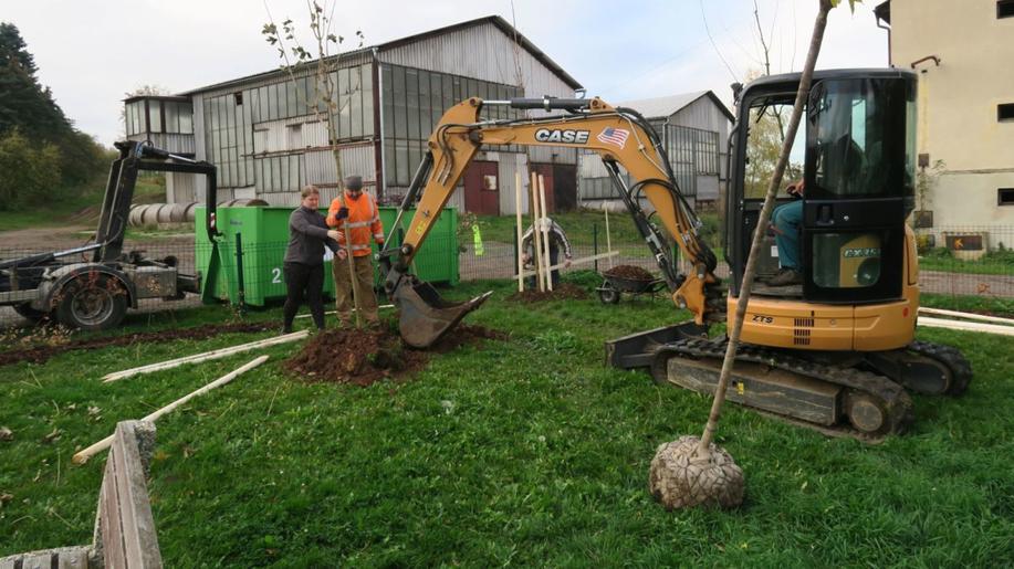 V Třeskonicích zakořeňují nové stromy a keře, na jejich výsadbu přispěla Nadace ČEZ