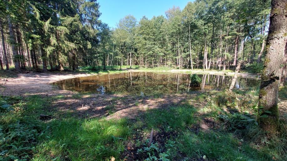 Adaptujeme lesy na klimatickou změnu: Desítky tůní a mokřadů zadržují na Příbramsku a Benešovsku vodu v krajině