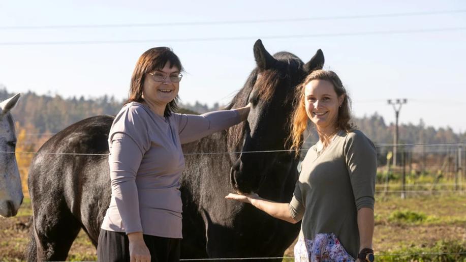 Sdílení elektřiny na farmě pomůže využít přebytky z domácí solární elektrárny