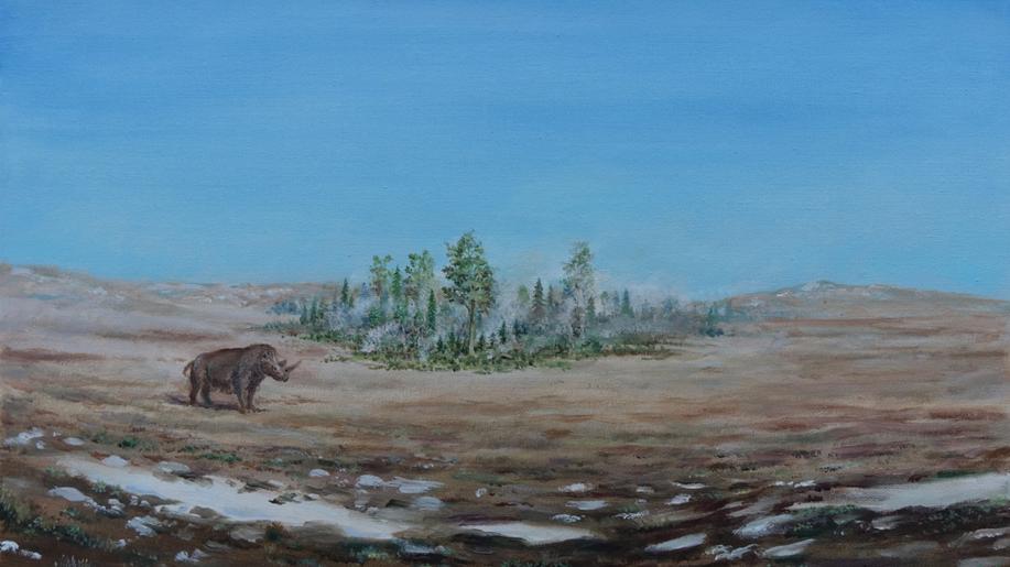 Moravský Yellowstone sloužil v době ledové jako oáza pro teplomilné dřeviny Moravský Yellowstone sloužil v době ledové jako oáza pro teplomilné dřeviny