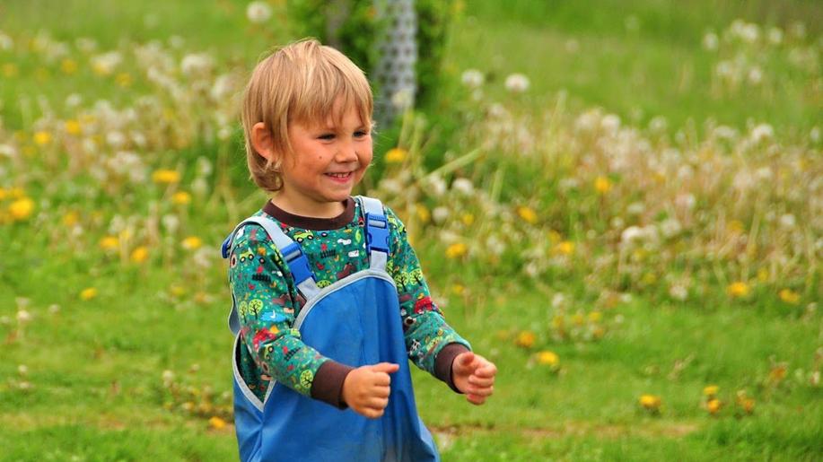 Kolik dětí navštěvuje lesní školky a jaká je výše školkovného? Kolik dětí navštěvuje lesní školky a jaká je výše školkovného?