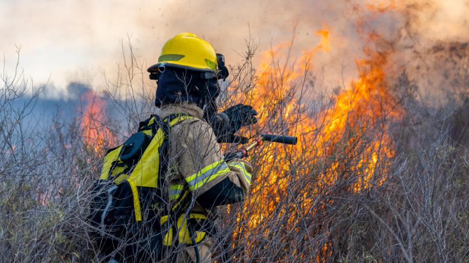 CENIA se podílí na budování přeshraničního systému včasného varování proti lesním požárům