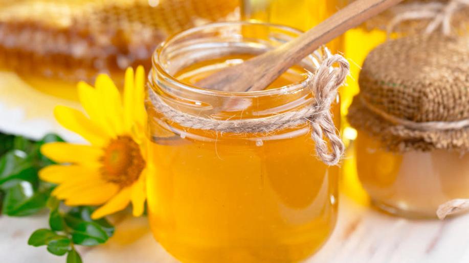 Na podzim se zpřísní podmínky pro dovoz medu do EU