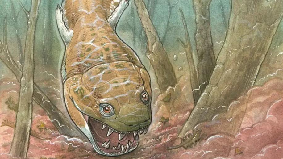 Vědci popsali fosilie pradávného obřího predátora, připomínal zubatého mloka