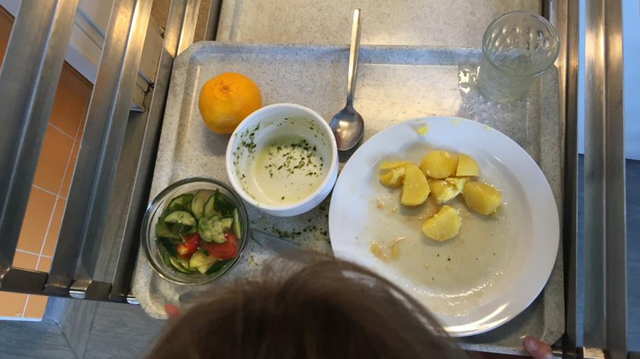 Téměř třetina pokrmů, které se uvaří ve školních jídelnách, skončí jako odpad