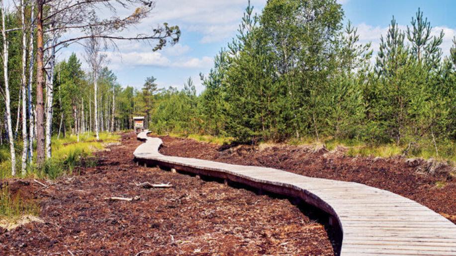 Letní Priorita nabízí velkou porci čtení Letní Priorita nabízí velkou porci čtení