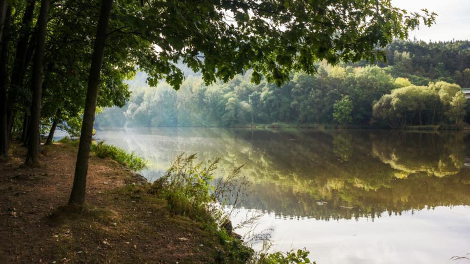 Přelomové nařízení na obnovu evropské přírody po měsících vyjednávání schválila Rada ENVI. Na přijetí se zásadně podílela i Česká republika