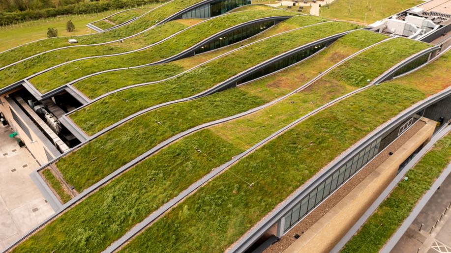 Zeleň v ČR pokrývá tři miliony metrů čtverečních střech, poptávka roste