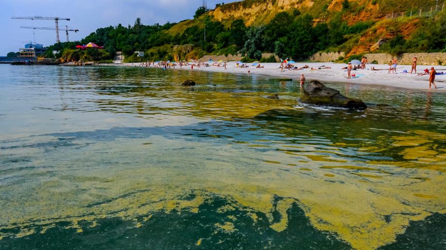 Odborníci: Sinice jsou pouze znakem špatné kvality vody, důvodů je ale více