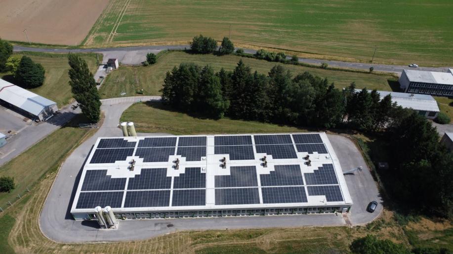 Drůbeží farma modernizuje chov pomocí fotovoltaiky, nosnicím zajistí čerstvý vzduch Drůbeží farma modernizuje chov pomocí fotovoltaiky, nosnicím zajistí čerstvý vzduch